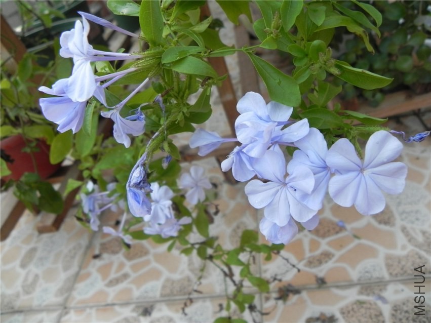 DSCN3377.jpg