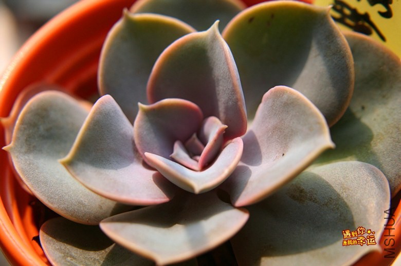 ��Ƭ 054_����.jpg