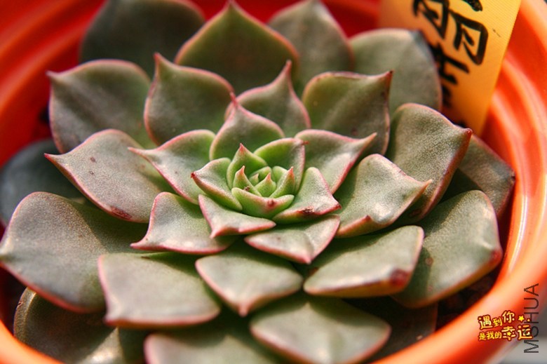 ��Ƭ 056_����.jpg