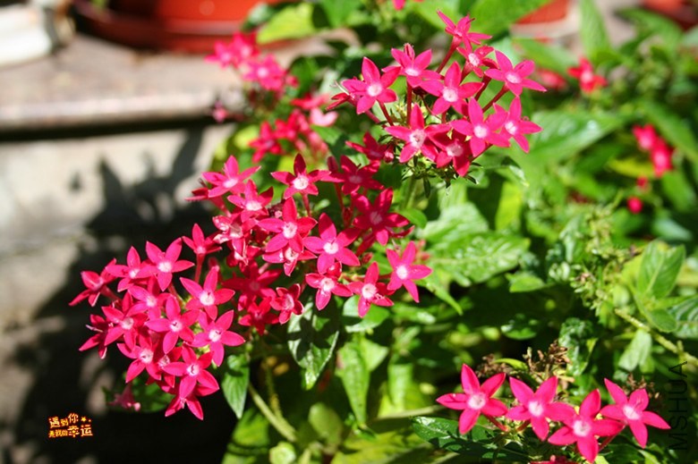 ��Ƭ 145_����.jpg