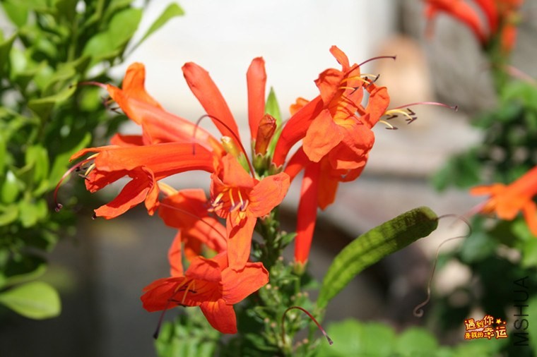 ��Ƭ 136_����.jpg