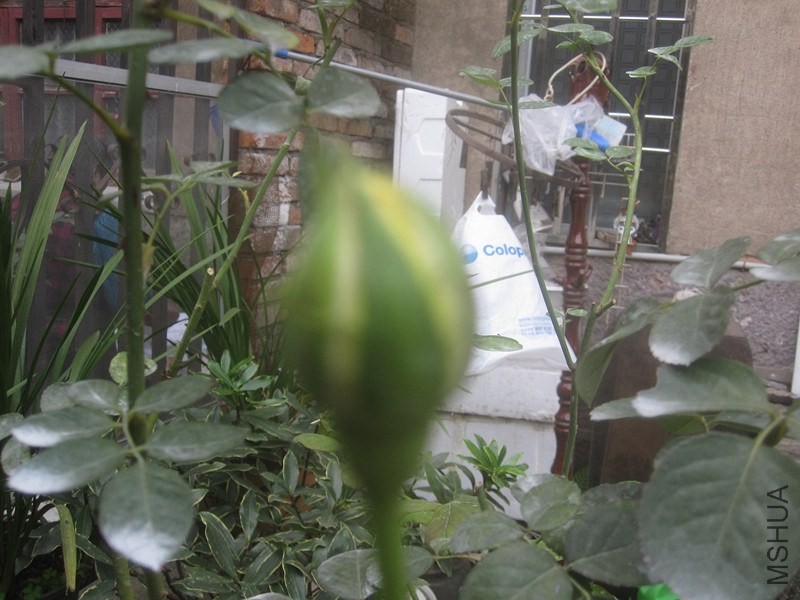 ��Ƭ 035_����.jpg