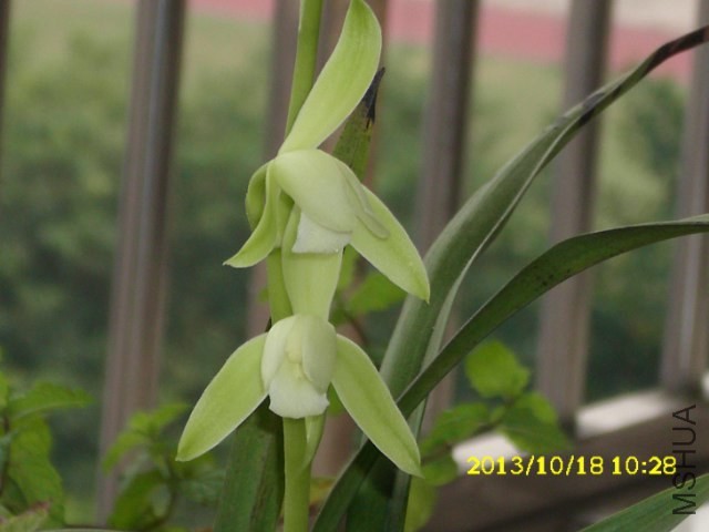 1_640x480.JPG