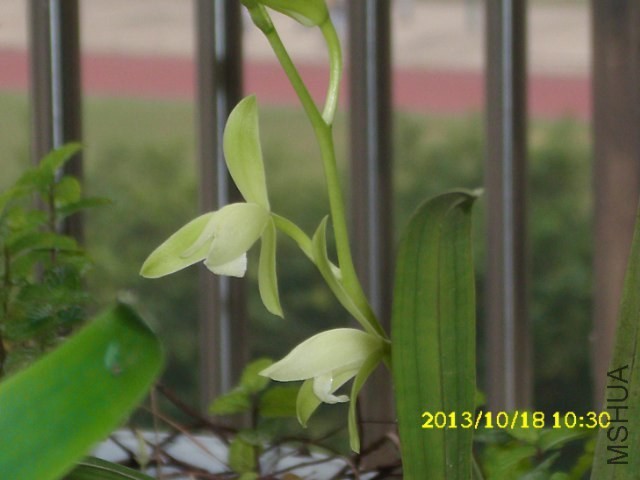 2_640x480.JPG