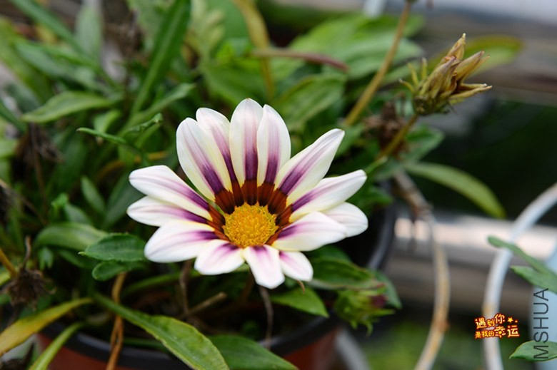 ��Ƭ 005_����.jpg