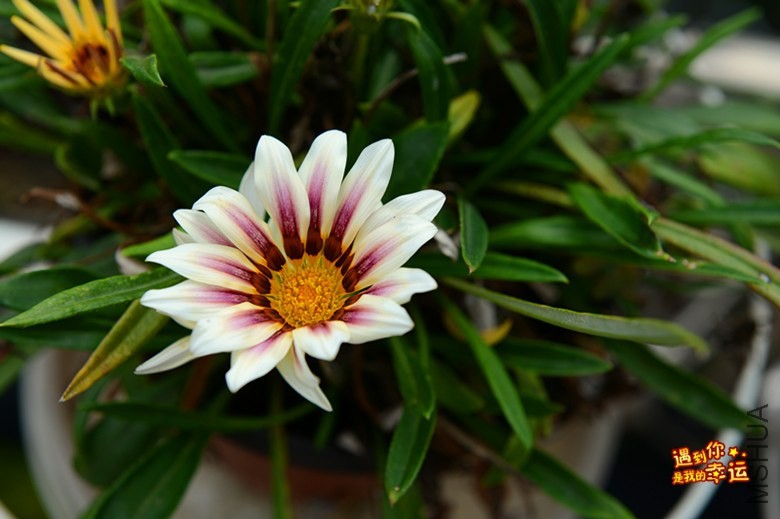 ��Ƭ 006_����.jpg