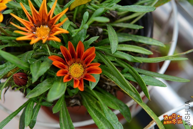 ��Ƭ 010_����.jpg