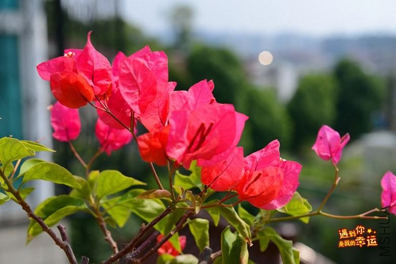 ��Ƭ 035_����.jpg