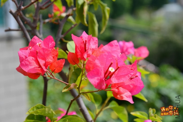 ��Ƭ 036_����.jpg