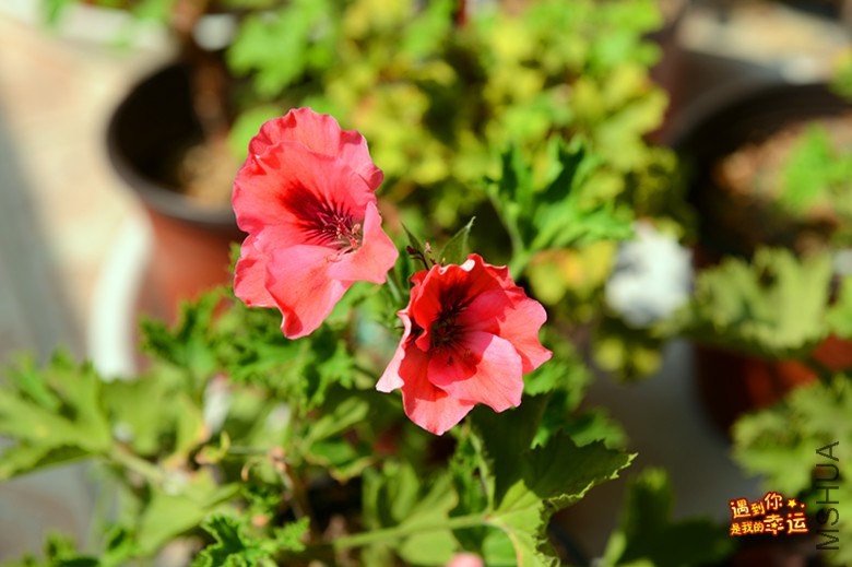 ��Ƭ 033_����.jpg