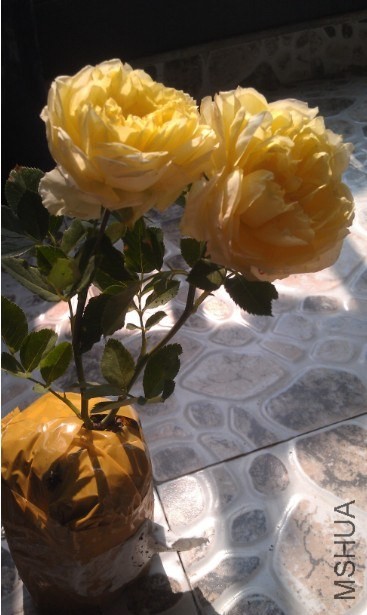 QQ��ͼ20131019132619.jpg