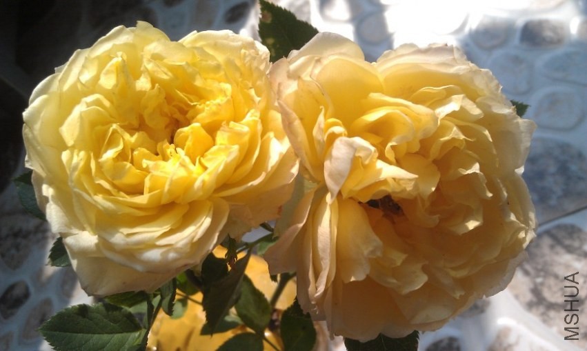 QQ��ͼ20131019132630.jpg