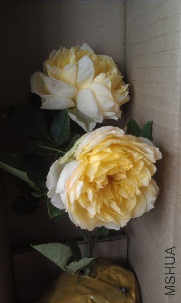 QQ��ͼ20131019132643.jpg