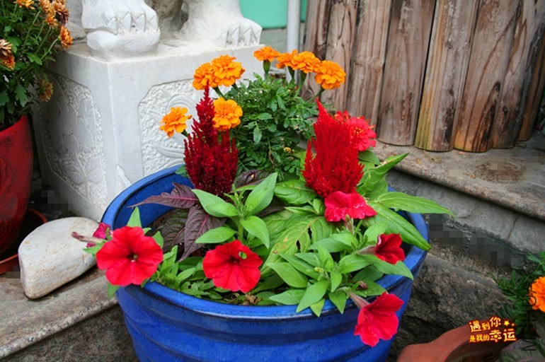 ��Ƭ 056_����.jpg