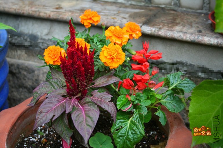 ��Ƭ 057_����.jpg