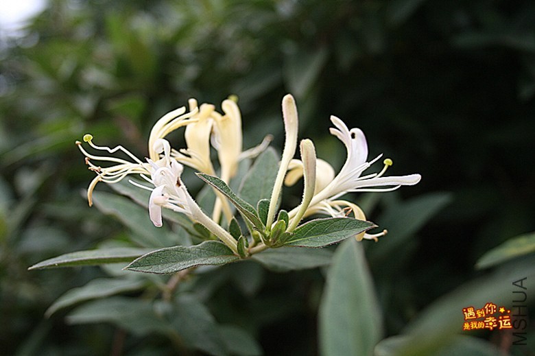 ��Ƭ 035_����.jpg