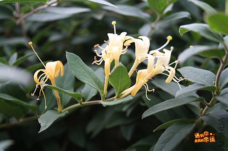 ��Ƭ 036_����.jpg