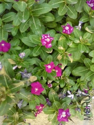 IMG_20131019_135816.jpg
