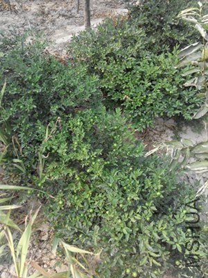 IMG_20131019_135844.jpg