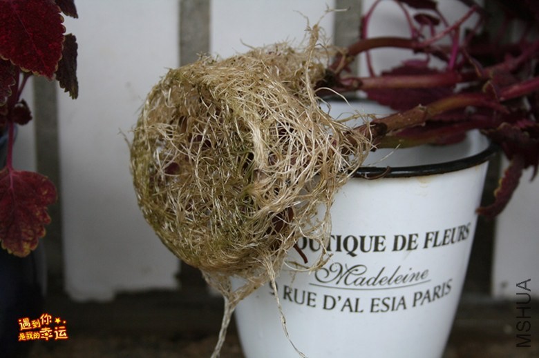 ��Ƭ 064_����.jpg