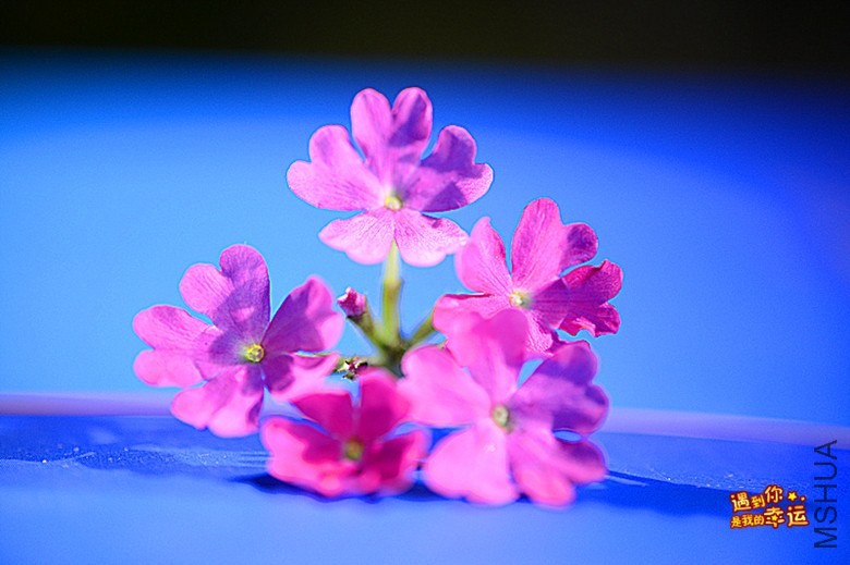 ��Ƭ 043_����.jpg