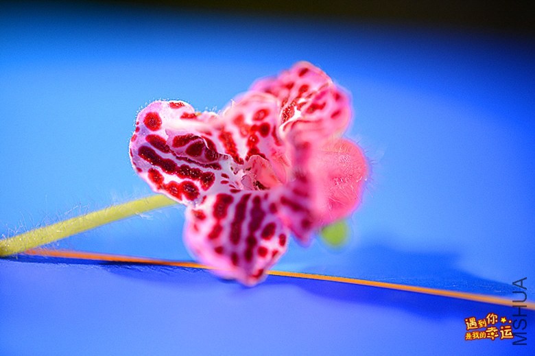 ��Ƭ 050_����.jpg