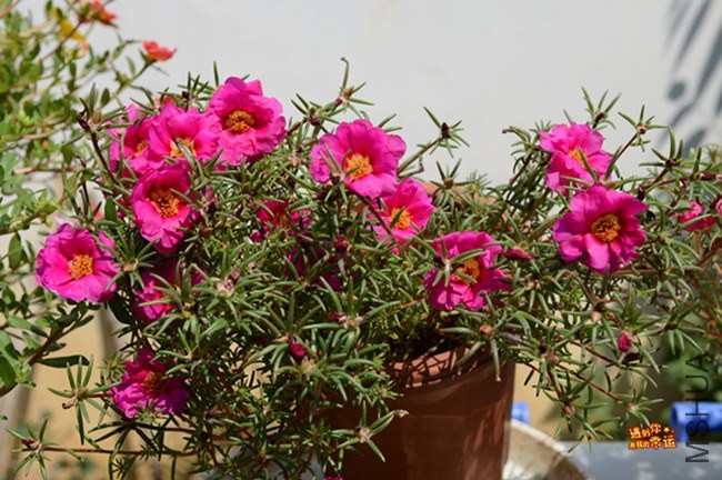 ��Ƭ 187_����.jpg