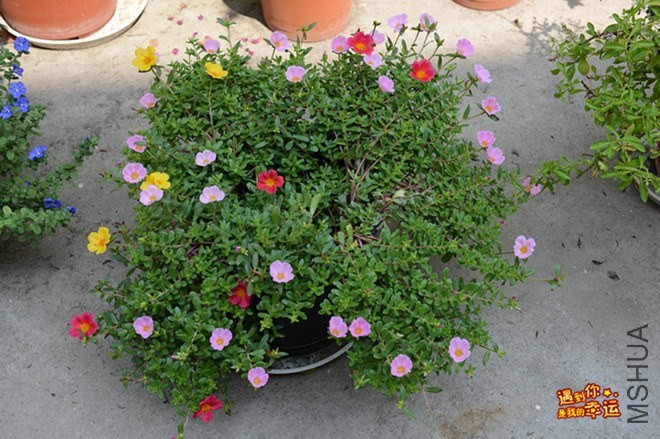 ��Ƭ 189_����.jpg