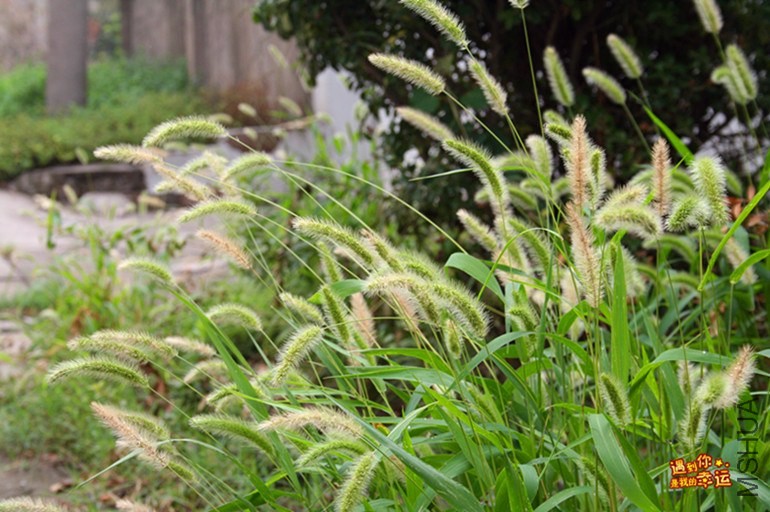 ��Ƭ 028_����.jpg