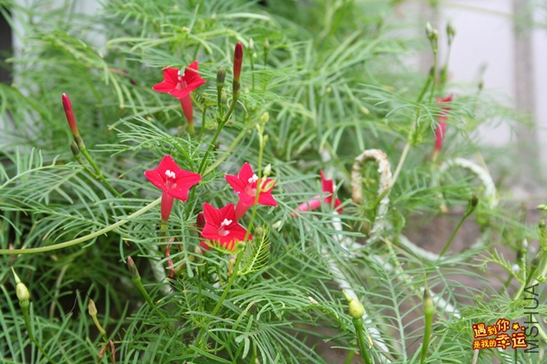 ��Ƭ 073_����.jpg