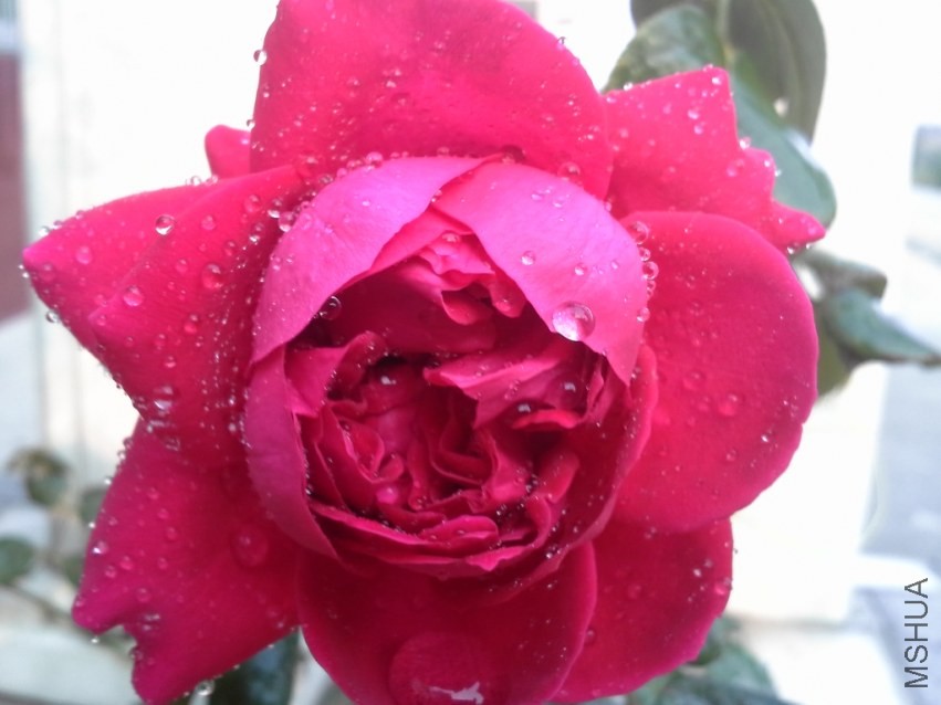 ��ɫɳ��131020_1.jpg