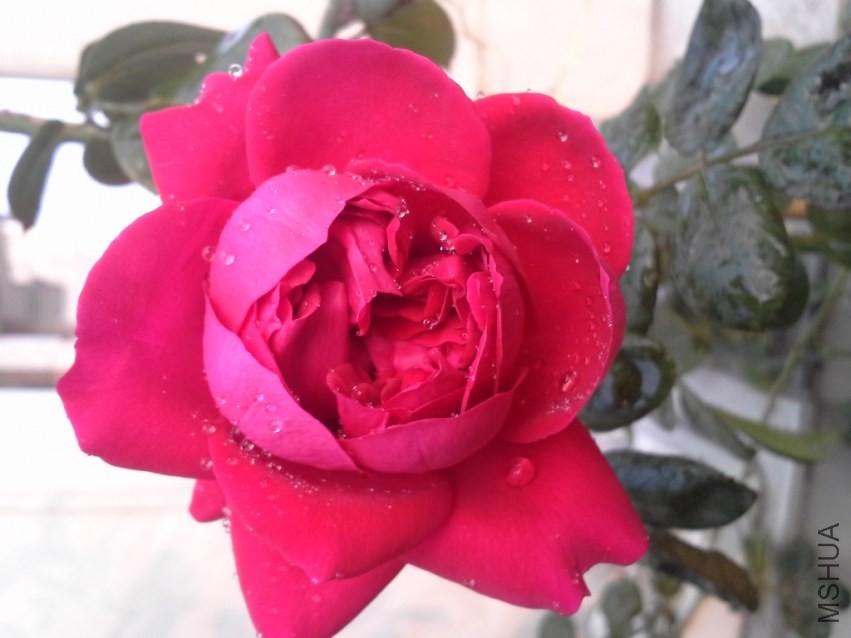 ��ɫɳ��131020_3.jpg