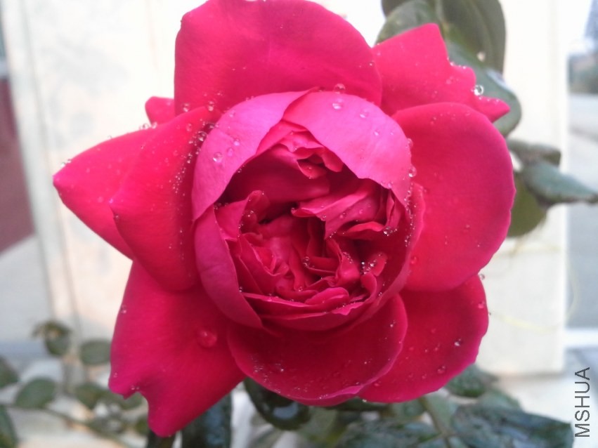 ��ɫɳ��131020_2.jpg