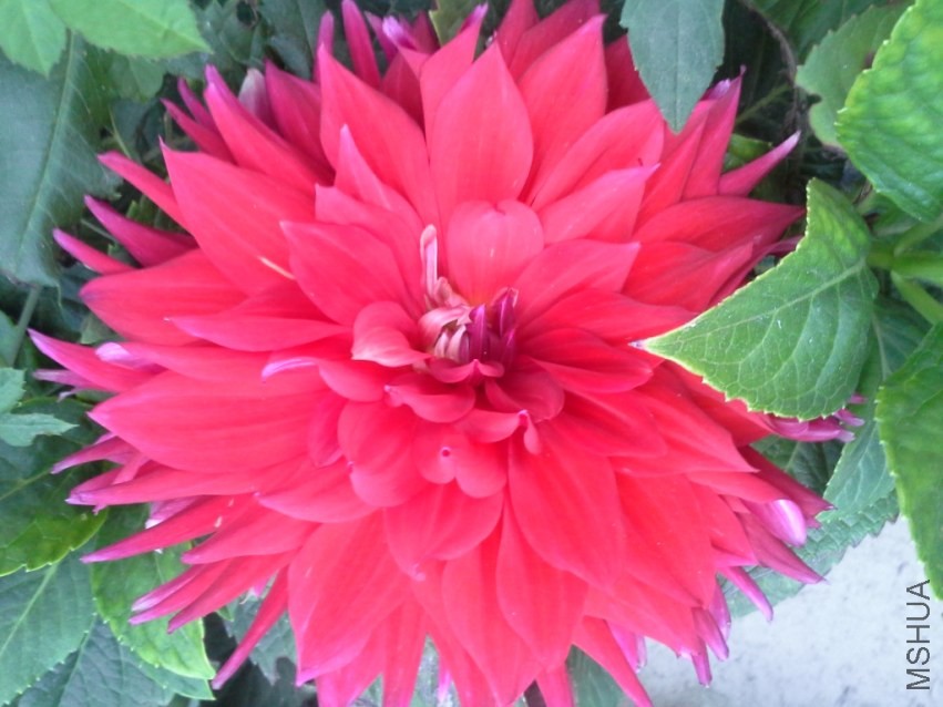 20131017_165040.jpg