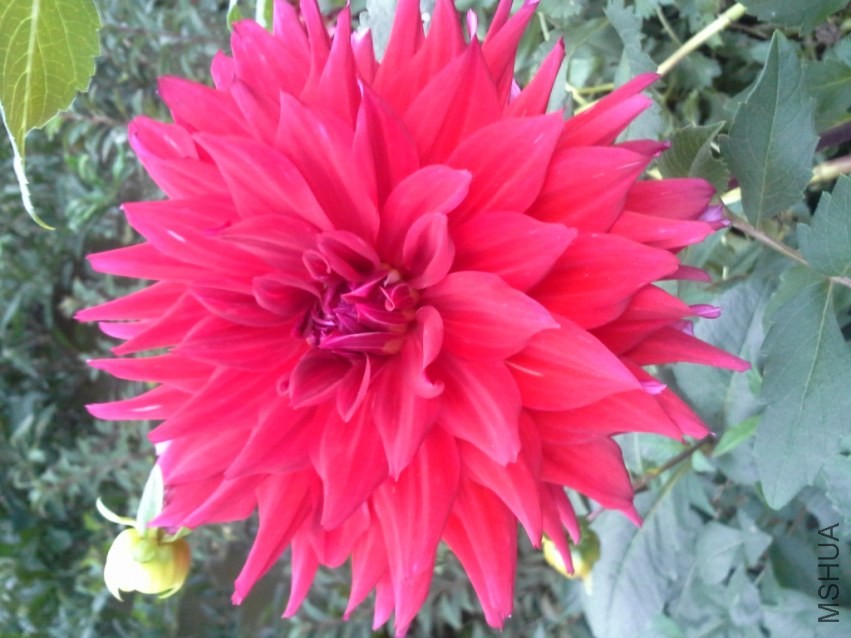 20131017_165026.jpg