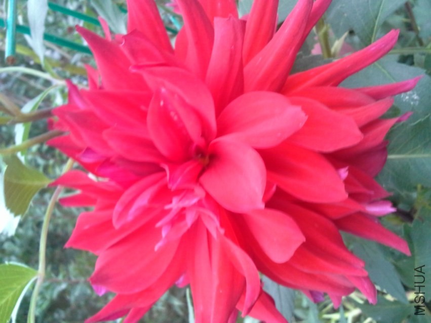 20131017_165031.jpg