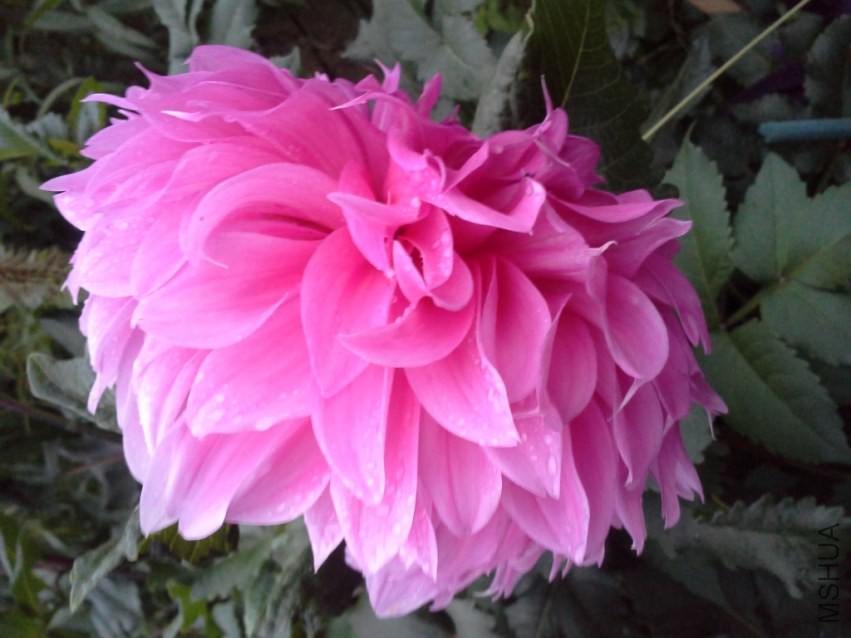 20131019_060546.jpg