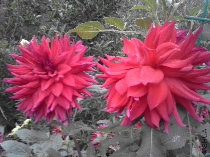 20131019_060456.jpg