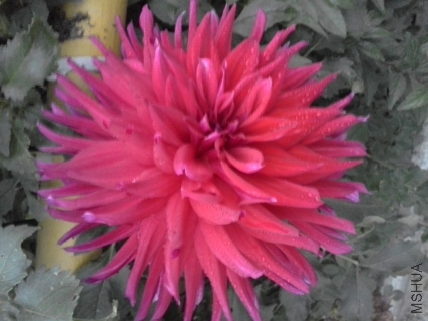 20131019_060532.jpg