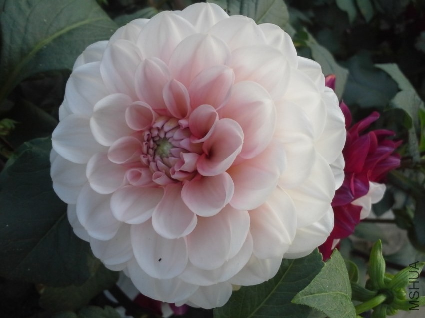 20131020_154059.jpg