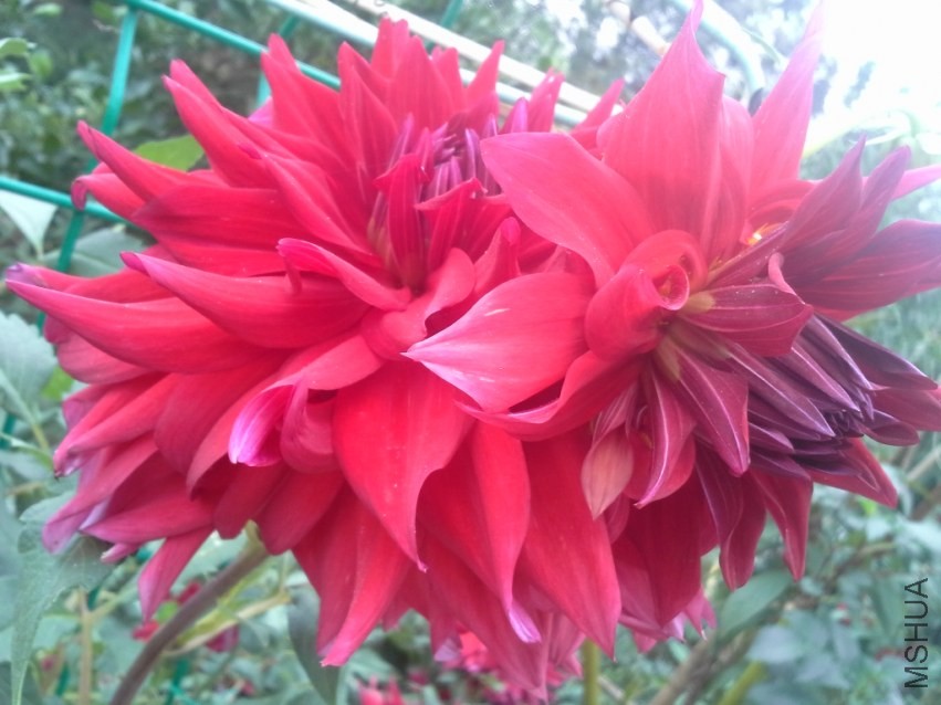 20131019_094419.jpg