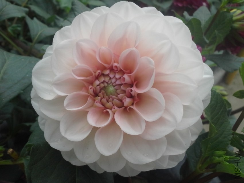 20131019_094443.jpg