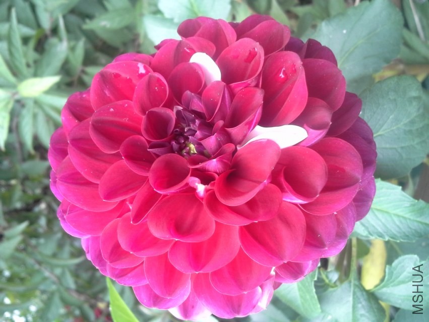 20131019_094456.jpg