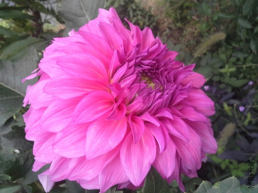 20131019_094906.jpg