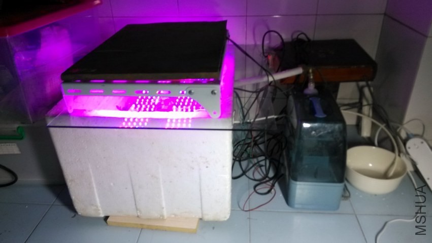 IMG_20131020_2003031.jpg