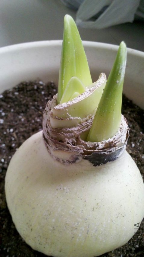 ������С ��ת 2013-10-20_11-48-34_846.jpg