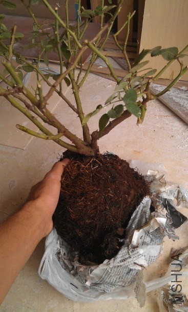 QQͼƬ20131020232628.jpg