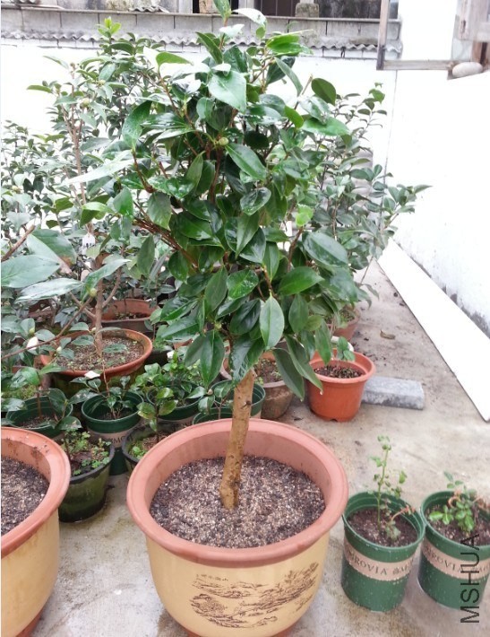 QQͼƬ20131021102741.jpg