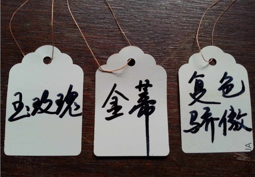 QQͼƬ20131021102751.jpg