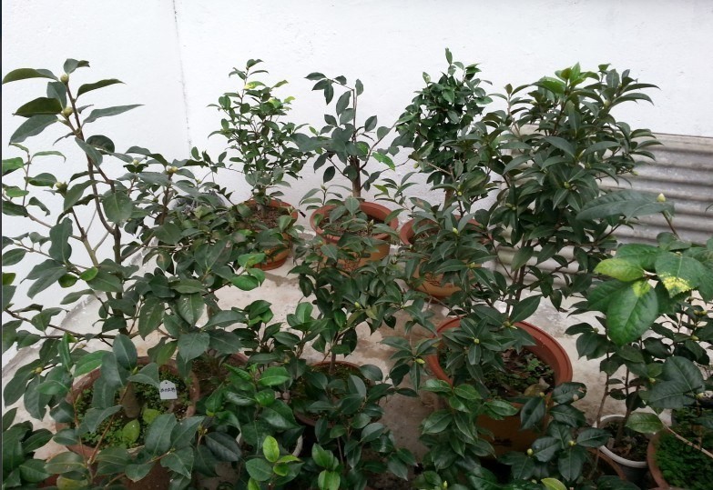 QQͼƬ20131021103357.jpg